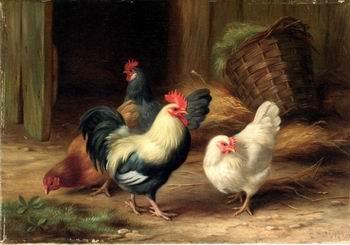 unknow artist Cocks 078 oil painting image